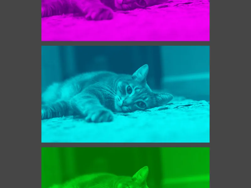 Screenshot of selected work.