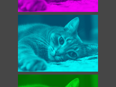 Screenshot of selected work.